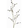 Stirlingia latifolia artificiale COLLAN, nero-bianco, 85cm
