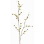 Stirlingia latifolia artificiale COLLAN, verde-giallo, 85cm
