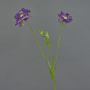 Scabiosa artificiale ANDIA, liilla-viola, 80cm, Ø8-10cm