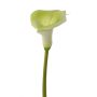 Calla artificiale MIRAC, verde-bianco, 75cm, 12x15cm