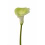 Calla artificiale MIRAC, verde-bianco, 75cm, 13x15cm