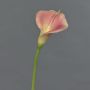 Calla artificiale MIRAC, rosa-giallo, 75cm, 13x15cm