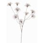 Clematide artificiale HARWAY, marrone scuro, 105cm, Ø7cm