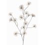 Clematide artificiale HARWAY, marrone, 105cm, Ø7cm