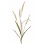 Pennisetum artificiale HIWA, pannocchie, beige, 135cm