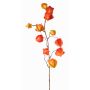Ramo artificiale di physalis PERSEI con frutti, arancione, 80cm