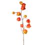 Ramo artificiale di physalis PERSEI con frutti, arancione, 80cm