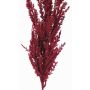 Ramo artificiale di erba di pampa THEMBA, rosso bordeaux, 115cm