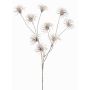 Clematide artificiale HARWAY, marrone, 70cm, Ø7cm
