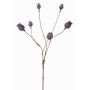 Capsule di papavero artificiale ASUMAN, marrone scuro, 70cm, Ø2-3cm