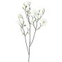 Ramo decorativo magnolia NELKA, bianco, 125 cm