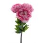 Mazzo di peonie artificiali DUDIL, rosa-rosa shocking, 50 cm