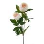 Ramo decorativo di peonia THEMIA, color crema-rosa, 65 cm