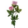 Ramo decorativo di peonia THEMIA, rosa, 65 cm