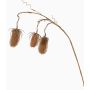 Cardo selvatico artificiale LORCAN, marrone chiaro, 90cm, Ø6-8cm