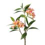 Ramo decorativo frangipani DRIFEN, giallo-rosa, 110 cm