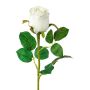 Fiore artificiale rosa KLONI, bianco, 50 cm