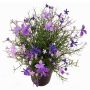 Fiore decorativo Impatiens GISINDA in vaso decorativo, lilla-lilla chiaro, 25cm