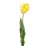 Tulipano a pappagallo decorativo LUNIA, giallo chiaro, 70 cm