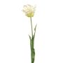 Tulipano a pappagallo decorativo LUNIA, bianco-verde, 70 cm
