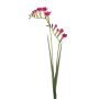 Ramo artificiale di fresia SVERINA, rosa, 80 cm