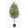 Olivo artificiale DEACON, tronco vero, con frutti, 170cm