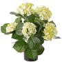 Ortensia artificiale TEMARI, crema-verde, 40cm, Ø10-12cm