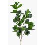 Ramo artificiale di ficus panda BANDE, verde, 90cm