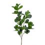 Ramo artificiale di ficus panda BANDE, verde, 90cm