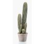 Cactus artificiale San Pedro DACON in vaso decorativo, verde, 55cm