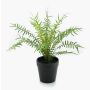 Felce blechnum spicant artificiale CASCOT, verde, 20cm
