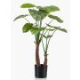 Alocasia Calidora artificiale XABIA, verde, 110cm