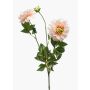 Dahlia finta NAXOS, rosa, 70cm
