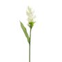 Curcuma finta LAROUCO, bianco, 80cm
