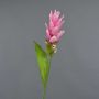 Curcuma finta LAROUCO, rosa, 80cm