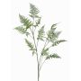 Ramo artificiale di asparagus plumosus FAYNA, 135cm