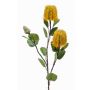 Banksia finta CONAKIR, giallo, 70cm