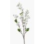 Ramo artificiale di ciliegio AKEMI con fiori, bianco, 90cm