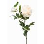 Peonia artificiale ALEDIS, crema, 100cm