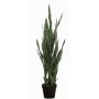 Sansevieria finto ELENE, verde, 95cm