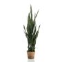 Sansevieria finto ELENE, verde, 95cm