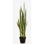 Sansevieria finto ELENE, verde-giallo, 95cm
