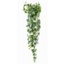 Hypoestes phyllostachya decorativa ALANGE su stelo, verde-bianco, 120cm