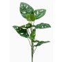 Filodendro Monstera Deliciosa artificiale BERLANGA, stelo, 75cm
