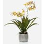 Orchidea oncidium artificiale COLUNGA in vaso di ceramica, giallo-arancione, 45cm