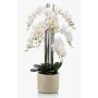 Orchidea phalaenopsis finta CECILE, vaso di ceramica, bianco, 100cm