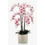 Orchidea phalaenopsis finta CECILE, vaso di ceramica, rosa-fuchsia, 100cm