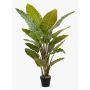 Strelitzia finta RIBERA, verde, 135cm