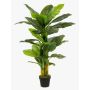 Spathiphyllum finto SIERO, verde, 130cm