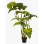Colocasia finta SOTU, verde, 175cm